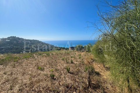 Helårsgrund i Ospedaletti, Imperia, Ospedaletti - € 180.000 | Ref: EM1311 - foto 7
